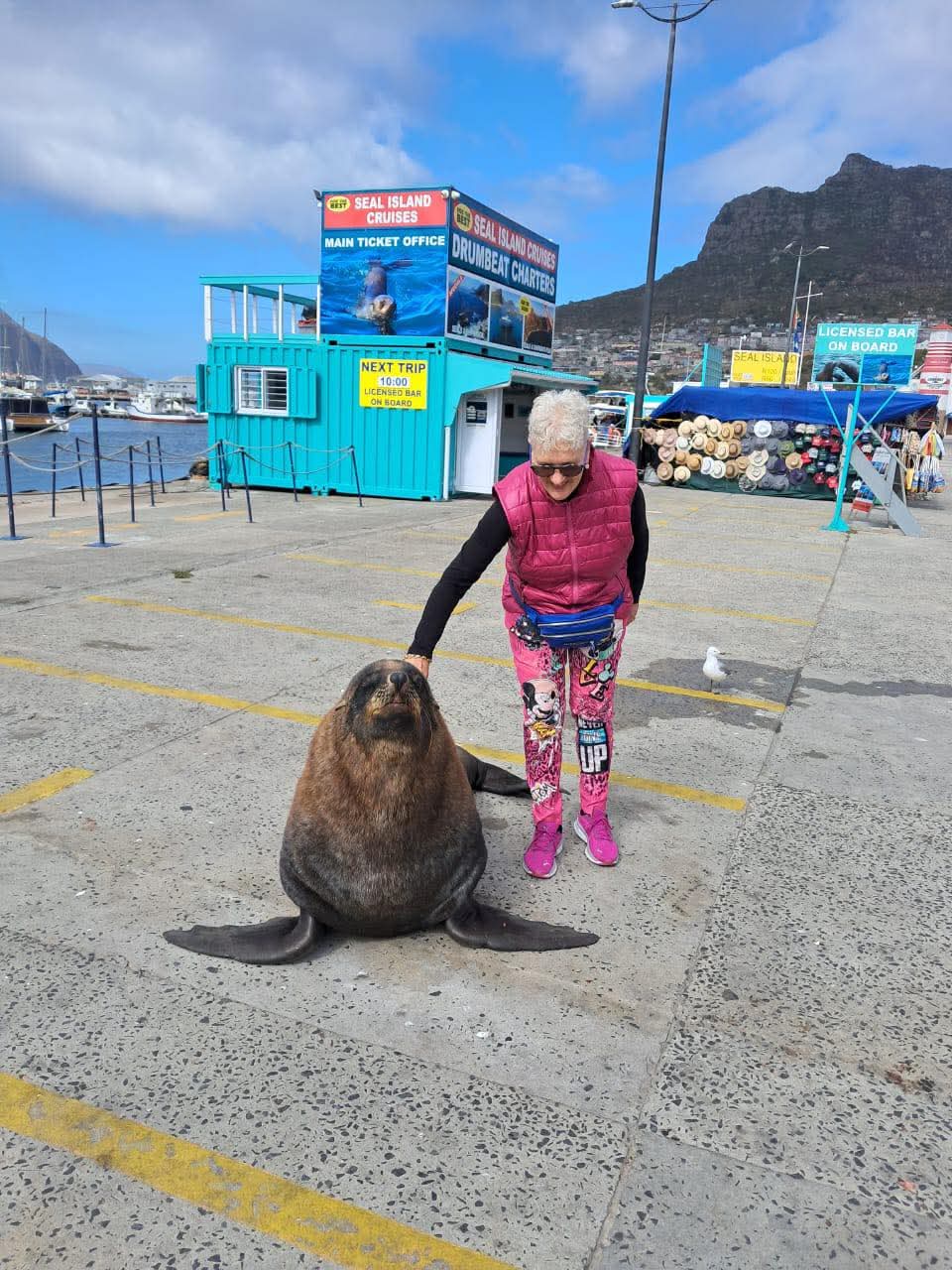 Hout Bay harbour and coastline
